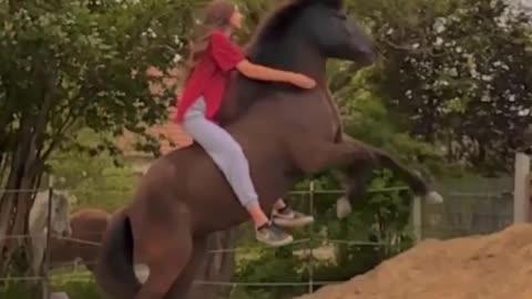 Horse SOO Cute! Cute And funny horse Videos Compilation cute moment #21