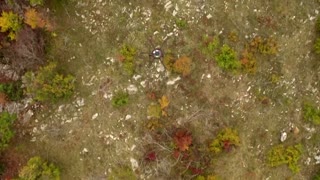 Croatia deploys drones to replant forests