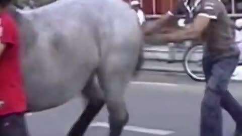 Horse Fail