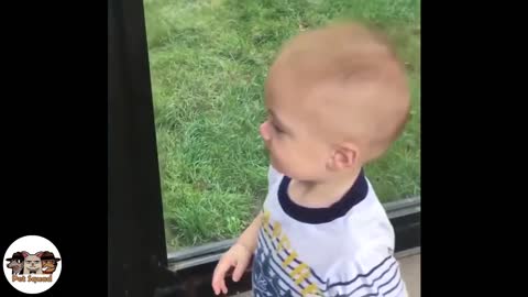 Animals trolling kids