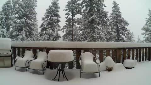 Four Feet of Snow Time Lapse in Evergreen Colorado - April 2016