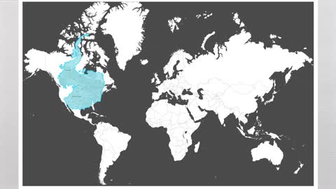 How the World Map Looks Wildly Different Than You Think