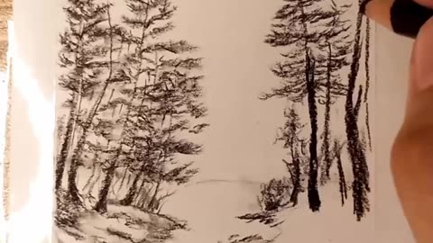 Charcoal Drawing forest and lake #charcoalpencil