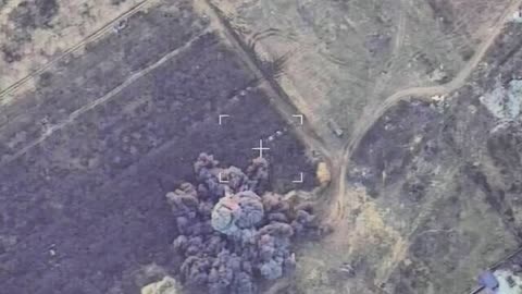 The hidden position of the 203 mm self-propelled artillery system of the Armed Forces of Ukraine was discovered by UAV operators