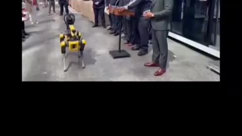 Robot Dogs Have Feelings Too.