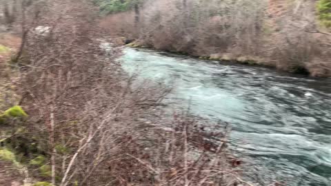 Aqua River Flowing in the Wilderness – Metolius River – Central Oregon