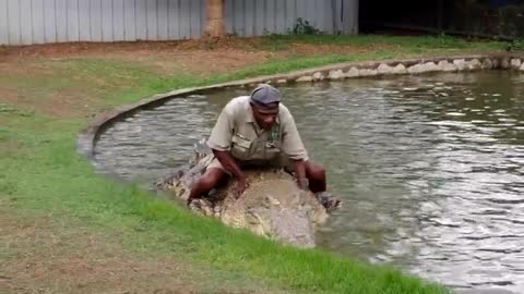 PNG Crocodile MAN