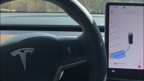 TESLA useless auto park feature