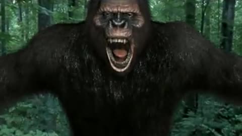 Bigfoot Funny Animal animation 🤣