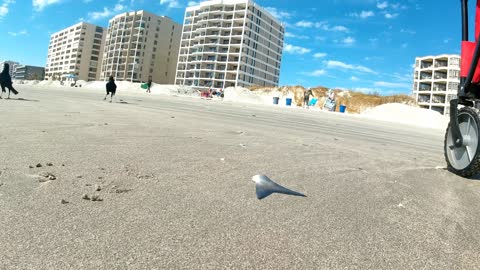 surf fishing in north myrtle in November 2022