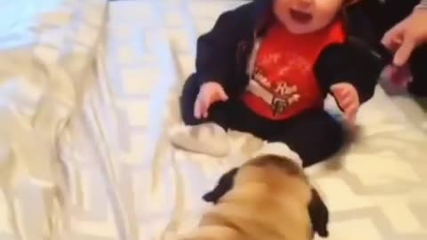 Cute baby👶 and pup🐶😂😂😍😍🥰🥰