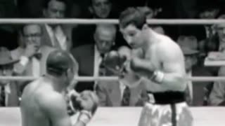 Rocky Marciano Tribute