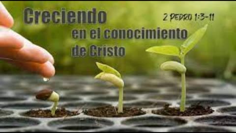 Creciendo en el Conocimiento de Cristo- Devocional.