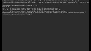 Raspberry Pi4B KVM 04-Backing up KVM virtual machines