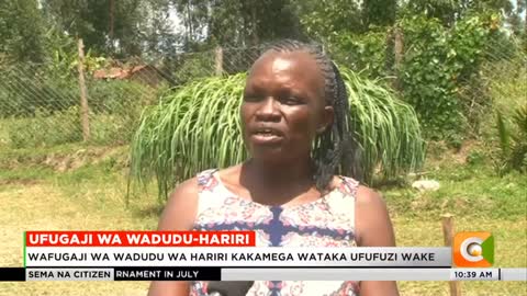 Waliokuwa wafugaji wa wadudu wa hariri kaunti ya Kakamega waitaka serikali kuwapiga jeki