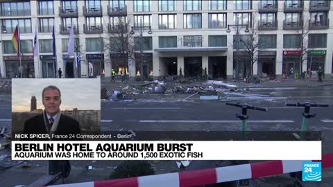 World's largest freestanding cylindrical aquarium broke in Berlin Hotel • FRANCE 24 English