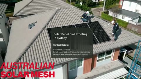 Solar Panel Bird Proofing in Sydney - Protect Your Panels