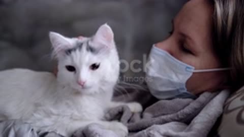 Woman Petting Her Cat Lying On the cat