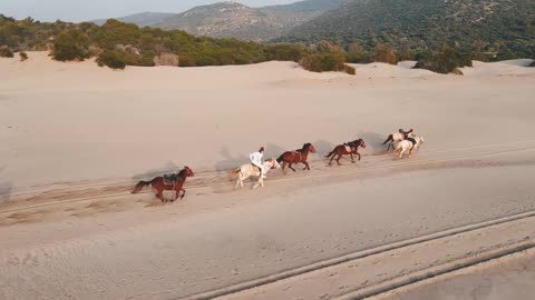 Horse riding on beach side 🏇 | with a beautiful view of Sunset 🌅