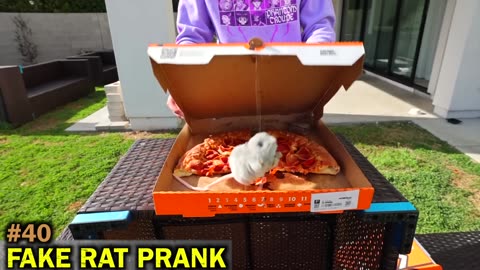 200 PRANKS IN 50 HOURS!!