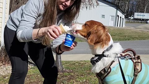 Birthday ice cream for Winston from DQ