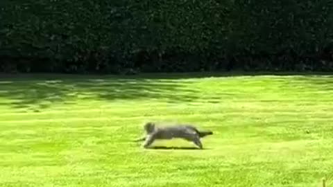 Discovering the great outdoors for the first time