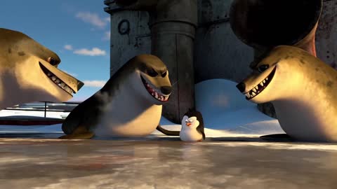 Penguins 6