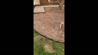 Landscaping weekish- BIG CHANGES to our yard, done BY HAND