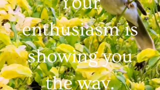 ~ Your enthusiasm is showing you the way