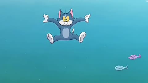 Tom and Jerry || Play Fight @cartoonvideo0007