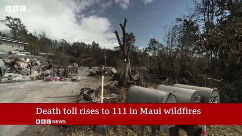 Hawaii wildfires: Maui emergency chief quits after sirens criticism