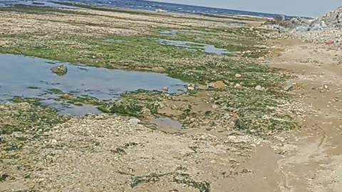 Sea receding in the Mediterranean countries