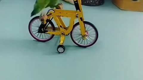 Little green parrot learns to grind and rides a bicycle to pick up coins and put them in cool cans