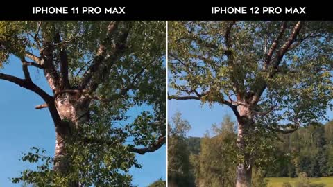 iPhone 12 Pro Max: Why I Bought It as a Pro Camera?