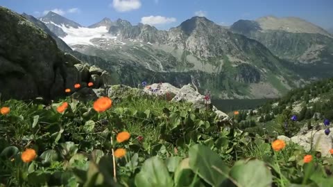 Siberia| Great Russian Region.