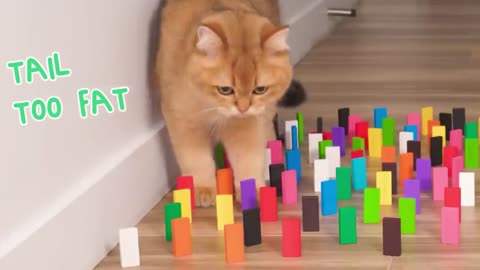 Level 2 and 3 crossing game.cats walk in ballon,its so hard.