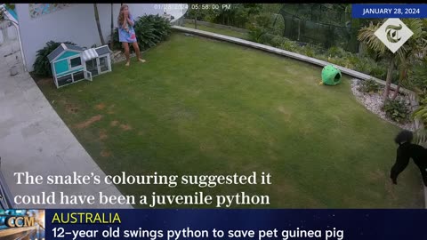 HUMAN INTEREST: Girl Saves Guinea Pig From Jaws Of Python