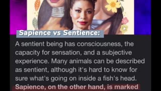 Seek Signs Of Sapience (clip from Your One Black Friend Podcast.)