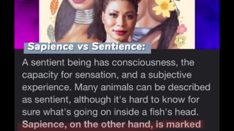 Seek Signs Of Sapience (clip from Your One Black Friend Podcast.)