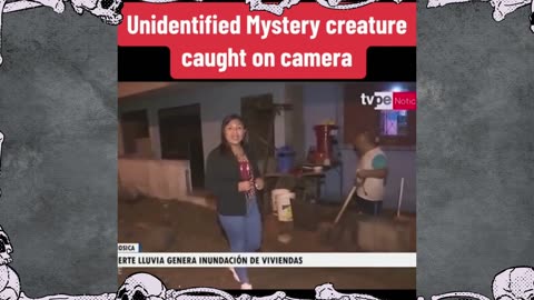 Scary and Strange Things That has Never been Seen on Camera