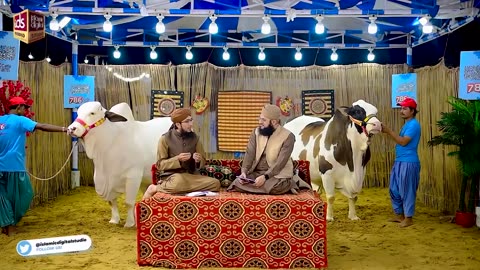 Kia Qurbani Karna Janwaron Per Zulm Hai | Qurbani Kay Masail | Mufti Madani Raza | Hafiz Tahir Qadri