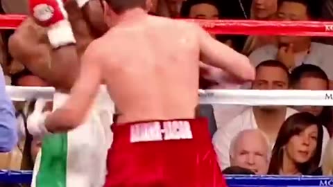 Floyd Mayweather vs Oscar De La Hoya Boxing Fight