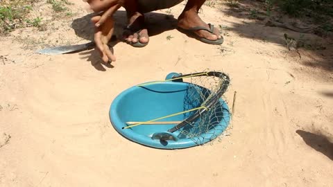 Amazing Creative Unique Bird Trap Using Small Plastic Container And Nets