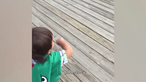 Hilarious Babies Compilation funny videos of the day