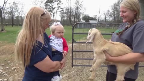 Toddler Has A Hilarious Conversation With A Baby Goat
