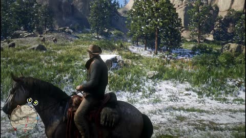 Into the Wild - Red Dead Online