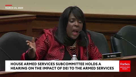 Terri Sewell- 'Diversity Is Truly The Strength In America'