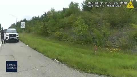 Police Put Down Zombie Deer in Colerain Ohio