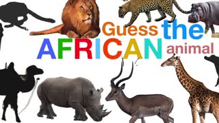 AFRICAN ANIMALS: GUESS THE ANIMAL SOUND GAME
