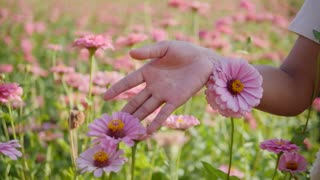 Woman Flowers Plants Field Garden Nature